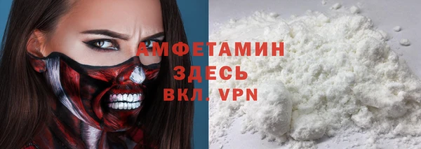 молекула духа Киреевск
