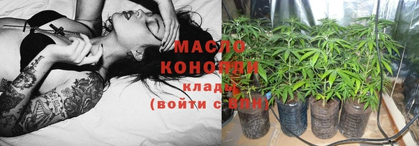 молекула духа Киреевск