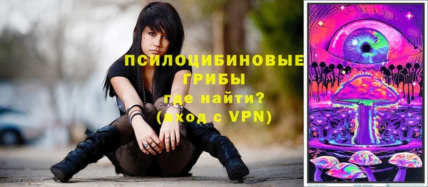 гашик Киренск