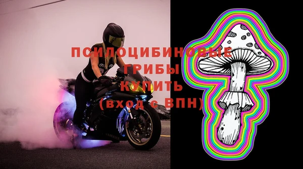 амф Касимов